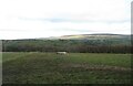 Country above the River Eden