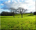 Bridleway to Prime Farm