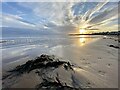 SS8376 : Seaweed at sunset by Alan Hughes