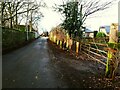 Shepherds Thorn Lane. looking west