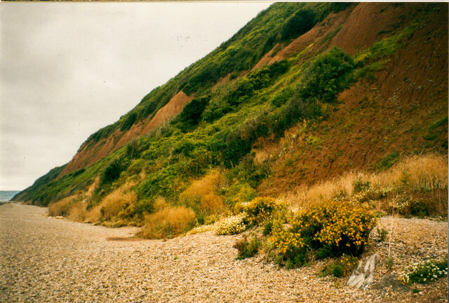 The coastal slope west of Branscombe Mouth