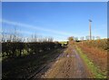 Muddy bridleway near Taft Leys Farm