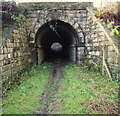 Buxton Road Tunnel, Furness Vale