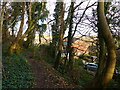 Footpath from Severn Crescent to the disused quarry, Chepstow