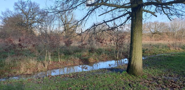 Drainage Area, Oakwood Park London N14