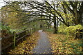 Footpath, Riverhead Parkland