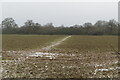SP6021 : Muddy path across the muddy field to Charbridge Lane by Philip Jeffrey