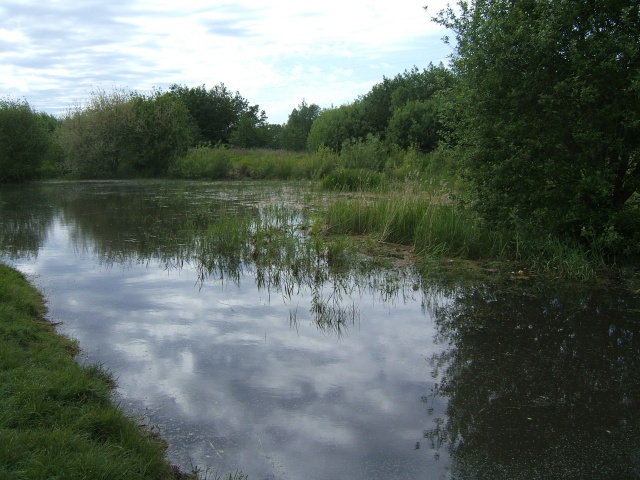 Rimrose Pond