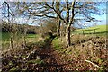 Bridleway and pasture, Watlington