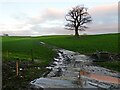 Path to Bracham Lane