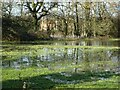 Flooding on Longdon Marsh