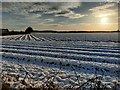 Snow covered farmland next to Waggon Lane