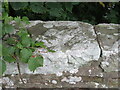 Ordnance Survey Cut Mark with Rivet