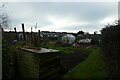 Allotments beside the Cinder Path