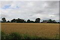 Kirkton of Craig viewed from a west-northwestery direction