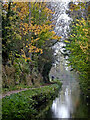 Autumn in Marsh Lane Narrows, Wolverhampton