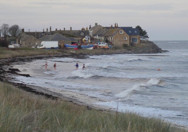 Cold water swimmers at Boulmer Haven