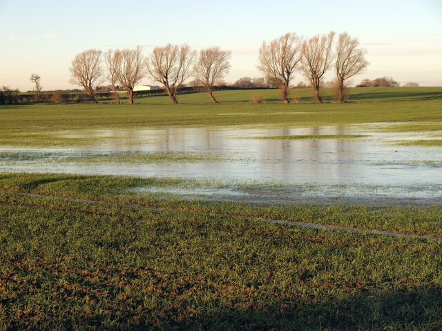 Waterlogged Field near Burstwick