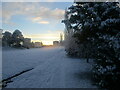 Fresh snow in the Duchess Park