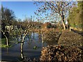 Flooded plots, Percy Estate Allotments, Warwick