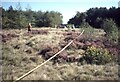 Orienteering: the finish, Brownhills Common