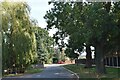 Driveway to Alnesbourn Priory