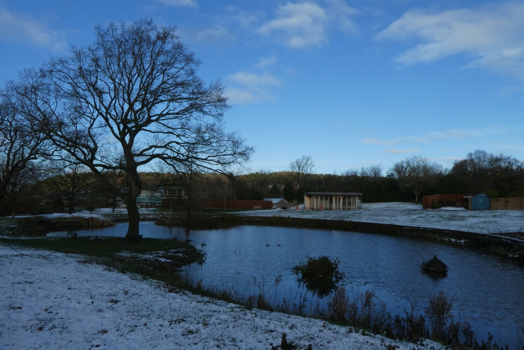 Harlow Carr Lake © Ds Pugh Cc By Sa20 Geograph Britain And Ireland