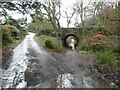 Path under the road from Hartland to Stoke