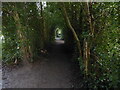 Hedge lined path in the Rea Brook Valley