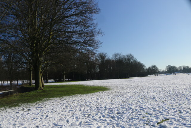 A snowy Walsall Arboretum
