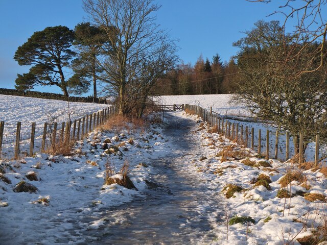 Icy path to South Park Wood