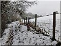 Footpath along the Honey Brook