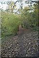 TQ5638 : Tunbridge Wells Circular Walk link Path by N Chadwick
