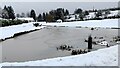 Frozen lake in the Honey Brook Valley