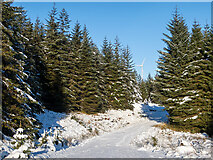 NN0107 : Forestry road in Eredine Forest by Patrick Mackie