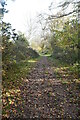 Tunbridge Wells Circular Walk link Path