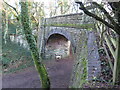 Bridge over former railway line near Coryton