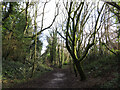 Former railway cutting near Coryton