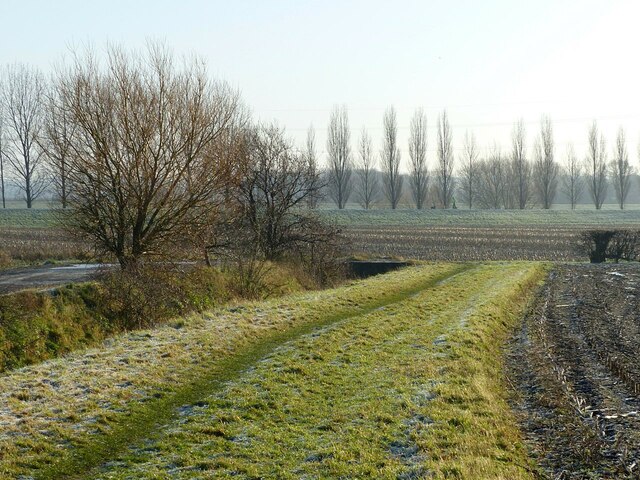 Field margin, Stoke Bardolph estate