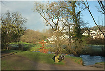 SX8178 : Seat by the River Bovey by Derek Harper