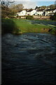 River Bovey, Mill Marsh Park