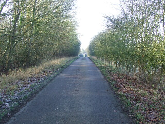 Driveway To Coldham Hall