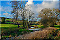 Axminster : River Yarty