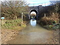 TQ5236 : A flooded High Weald Landscape Trail by Marathon