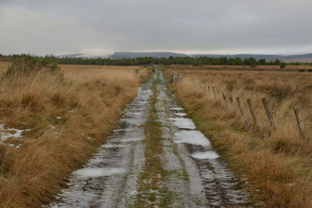 Track between Achfrish and Blarbuie at Tirryside, Sutherland