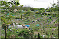 Roedale Valley allotments