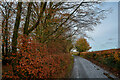 Monkton : Viney Lane