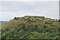 TR2137 : Castle Hill by N Chadwick