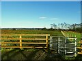 Footpath off Hag Farm Road