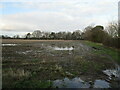 Wet stubble field and Bassingham Covert